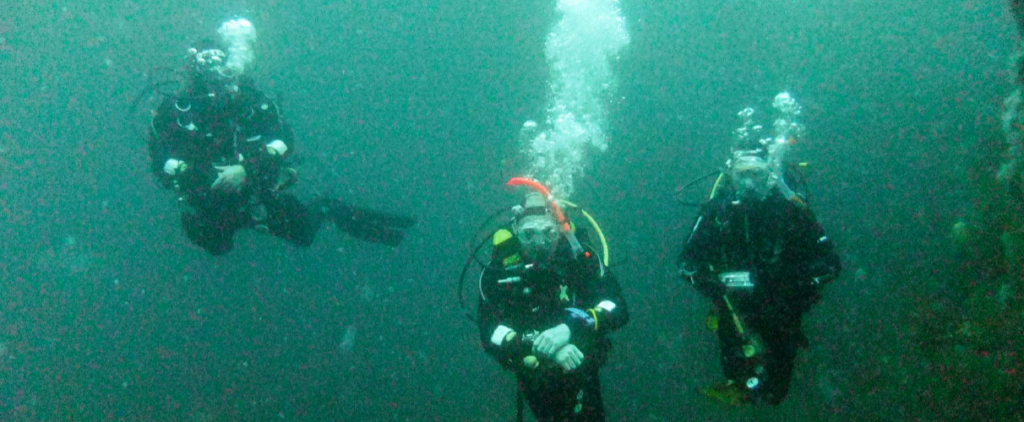 Three scuba divers in their gear under water, one with a luminous orange snorkel