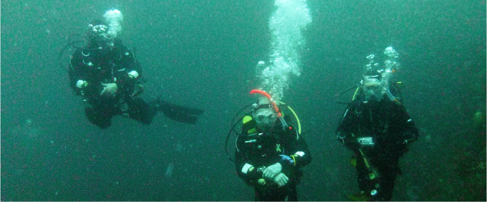 Three scuba divers underwater in their gear, one with a luminous orange snorkel